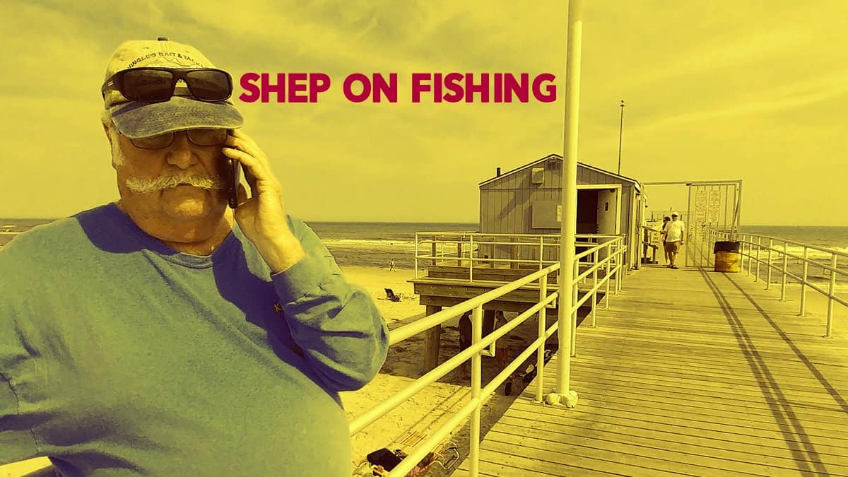 Shep On Fishing, Summer 2024 6 Shep On Fishing, Summer 2024